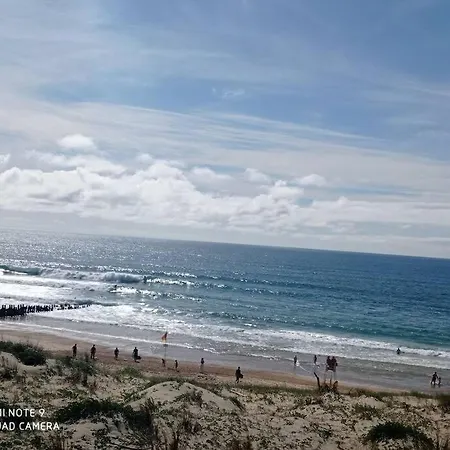 222 A Cent Metres De L'ocean