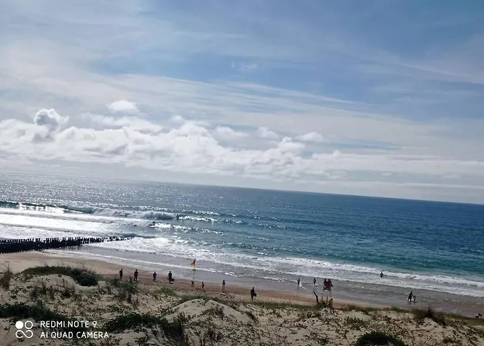 222 A Cent Metres De L'ocean